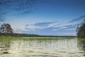 Peaceful cloud landscape with windy water reflection of grasses during the sunset