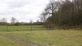 Peaceful yet cloudy meadow