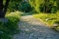 A peaceful cobblestone road winds through a dense forest, providing a serene and tranquil setting, A cobblestone pathway through a Royalty Free Stock Photo