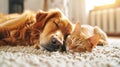 Peaceful coexistence cat and dog sleeping together on white carpet, ideal for text space Royalty Free Stock Photo