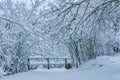 A peaceful corner with a fence in a snow covered forest of the Harz