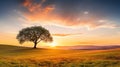 A peaceful countryside with a golden sunset, a lone tree