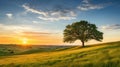 A peaceful countryside with a golden sunset, a lone tree