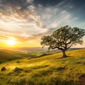 A peaceful countryside with a golden sunset, a lone tree