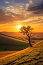 A peaceful countryside with a golden sunset, a lone tree