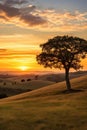 A peaceful countryside with a golden sunset, a lone tree