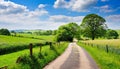 Peaceful countryside, landscape of green nature with a road.