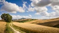 Peaceful countryside, landscape of green nature with a road.