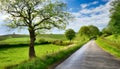 Peaceful countryside, landscape of green nature with a road.