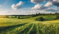 Peaceful countryside, landscape of green nature with a road.