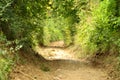 Peaceful countryside road in Cheile Nerei Natural Reservation