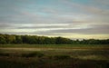 Peaceful cranberry bog landscape with dramatic cloudscape on Cape Cod at sunset Royalty Free Stock Photo