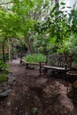 The Peaceful Creative Little Garden in the East Village of New York City with a Bench and Green Plants