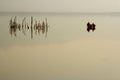 Peaceful Dojran Lake Royalty Free Stock Photo