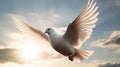 Peaceful Dove A Symbol of Harmony and Unity