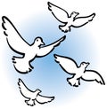 Peaceful Doves Flying