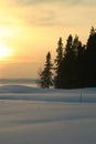 Peaceful, dreamy winter landscape in sunset