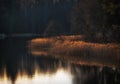 Peaceful evening landscape with a lake in early spring Royalty Free Stock Photo