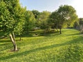 Peaceful Evening at the Local Park in Spring in May Royalty Free Stock Photo