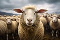 Peaceful Flock sheep staring. Generate Ai