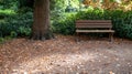 Peaceful forest bench in autumn Royalty Free Stock Photo