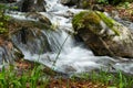 Peaceful forest landscape with small  cascade falls over mossy rocks Royalty Free Stock Photo