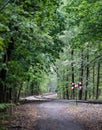 Peaceful Forest Path with Railway Crossing Sign Royalty Free Stock Photo