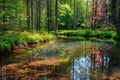 Peaceful forest scene with a clear pond, spring foliage in full bloom Royalty Free Stock Photo