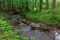 Peaceful forest stream flow down among stones Royalty Free Stock Photo