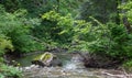 Peaceful forest stream flow down among stones Royalty Free Stock Photo