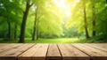 Peaceful forest sunlight shining gently over wooden deck view Royalty Free Stock Photo