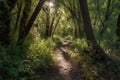 peaceful forest trail, with sunlight filtering through the trees and dappling the ground Royalty Free Stock Photo