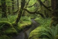 peaceful forest with winding paths and trickling streams