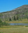 The peaceful Freeman Reservoir below the mountainside of the Routt National Forests. In the Rocky mountains of Colorado