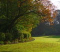 Peaceful garden in autumn