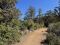 Peaceful Gowan Hiking Trail in Tonto Natural Bridge State Park Royalty Free Stock Photo