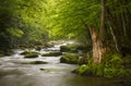 Peaceful Great Smoky Mountains National Park Royalty Free Stock Photo