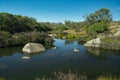 Peaceful headwaters of the Murrumbidgee River at Yaouk NSW Royalty Free Stock Photo