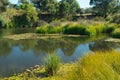 Peaceful headwaters of the Murrumbidgee River at Yaouk NSW Royalty Free Stock Photo