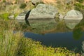 Peaceful headwaters of the Murrumbidgee River at Yaouk NSW Royalty Free Stock Photo