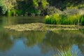 Peaceful headwaters of the Murrumbidgee River at Yaouk NSW Royalty Free Stock Photo