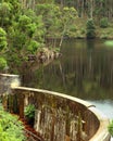 Peaceful hidden water reservoir with a rope swing into swimming hole.