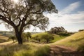 peaceful hilltop with view of rolling hills, farmhouses, and pastures