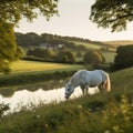 Serene White Horse Grazing in Green Meadow with Pond and Hill Backdrop Royalty Free Stock Photo