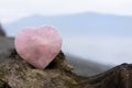 Rose Quartz Crystal Heart and Driftwood Close Up Royalty Free Stock Photo