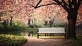A peaceful image of a lone park bench nestled among blooming trees and lush greenery, Royalty Free Stock Photo