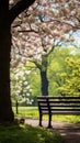 A peaceful image of a lone park bench nestled among blooming trees and lush greenery, Royalty Free Stock Photo