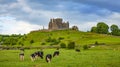 Peaceful Irish landscape, Rock of Cashel castle on background, Ireland
