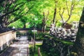 Peaceful Japanese public garden in Japan