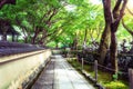 Peaceful Japanese public garden in Japan.